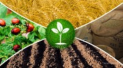 Покупаем Минеральные удобрения Новосибирск