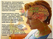 Консультативно-диагностическая система восстановительной IT-медицины Санкт-Петербург