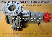 Х80-65-160 Р СД УХЛ4. Химические насосы гуммированные. Новосибирск