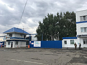 Высококачественное подсолнечное масло оптом от производителя Безенчук