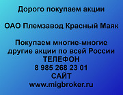 Покупка акций «Племзавод Красный Маяк» Красноярск