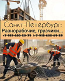 Заказать рабочих в Питере: универсальные мастера и разнорабочие с «рабочих домов» для решения любых Санкт-Петербург