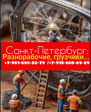 Заказать рабочих в Питере: универсальные мастера и разнорабочие с «рабочих домов» для решения любых Санкт-Петербург