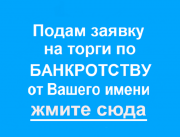Подача заявки на торги по банкротству Москва