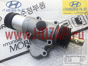 QW434316C301, Пневмоусилитель КПП Hyundai Gold, Megatruck, QW43431-6C301 Москва